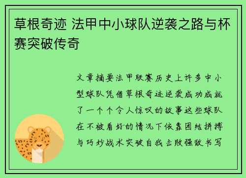 草根奇迹 法甲中小球队逆袭之路与杯赛突破传奇